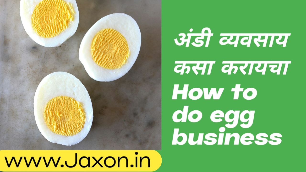 How to do egg business